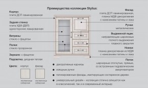 Прихожая модульная Стилиус в Ирбите - irbit.magazinmebel.ru | фото - изображение 2
