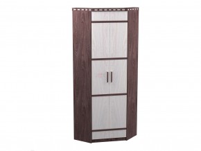 шкаф 2-х дверный угловой в Ирбите - irbit.magazinmebel.ru | фото