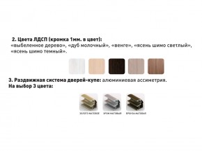 Шкаф-купе Акцент-Сим Д 1000-600 шимо светлый в Ирбите - irbit.magazinmebel.ru | фото - изображение 3